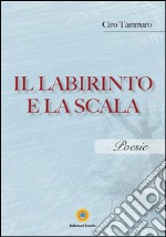 Il labirinto e la scala. E-book. Formato EPUB