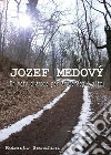Jozef Medovy. Un voto d'amore per amore degli altri. E-book. Formato Mobipocket ebook di Roberto Serafini