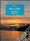 Una calda estate. E-book. Formato EPUB ebook di Stefania Riccardi