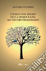 L'Italia dal sogno della democrazia all’incubo finanziario. E-book. Formato PDF ebook