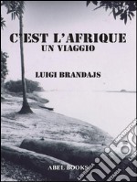 C'est L'AfriqueUn viaggio. E-book. Formato EPUB ebook