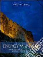 Energy manager: una professione vincente al servizio di imprese ed enti pubblici. E-book. Formato Mobipocket ebook