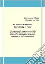 Le notificazioni civili: istruzioni per l'uso - 175 risposte sulle notificazioni in Italia degli atti giudiziari nel processo civile e 10 cose da sapere prima di chiedere la notifica all'ufficiale giudiziario. E-book. Formato PDF