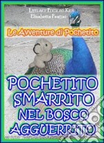 Pochetito Smarrito nel Bosco Agguerrito - Fiaba Interattiva a Bivi. E-book. Formato PDF ebook