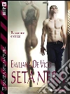 Seta nera. E-book. Formato EPUB ebook