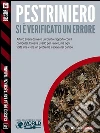 Si è verificato un errore. E-book. Formato EPUB ebook di Renato Pestriniero