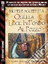 Quella luce in fondo al pozzo. E-book. Formato EPUB ebook di Michele Scoppetta