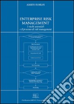 Enterprise risk management: I rischi aziendali e il processo di risk management. E-book. Formato PDF ebook