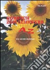 Horbuch zum Lehrwerk von A bis Z. E-book. Formato PDF ebook