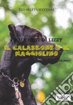 Il calabrone e il Maggiolino. E-book. Formato EPUB ebook