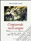 Grigioverde rosso sangue. Combattere e morire nella Grande Guerra del 15-18. E-book. Formato EPUB ebook