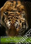 La tigre della Malesia. E-book. Formato PDF ebook di Emilio Salgari
