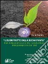 Il buon frutto dalla buona pianta. Dal ciclo ovarico al ciclo riproduttivo. Interpretazione dei dati. E-book. Formato EPUB ebook