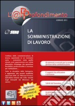 La somministrazione di lavoro. E-book. Formato PDF ebook