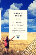 Il sogno del drago: Dodici settimane sul Cammino di Santiago da Torino a Finisterre. E-book. Formato EPUB ebook