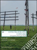 Città tra sviluppo e declino. Un'agenda urbana per l'Italia. E-book. Formato PDF ebook