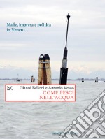 Come pesci nell'acqua: Mafie, impresa e politica in Veneto. E-book. Formato EPUB ebook