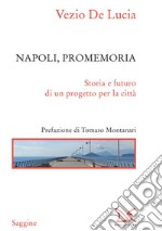 Napoli, promemoria: Storia e futuro di un progetto per la città. E-book. Formato EPUB