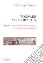 Tornare alla crescita: Perché l'economia italiana è in crisi e cosa fare per rifondarla. E-book. Formato EPUB ebook