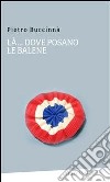 La...dove posano le balene. E-book. Formato Mobipocket ebook di Buccinnà Pietro