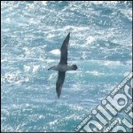 Viaggi di un giovane albatros. E-book. Formato EPUB