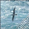Viaggi di un giovane albatros. E-book. Formato EPUB ebook di Vincenzo Nasto