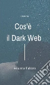 Silk Road, Lolita City e droghe 2.0 Cosmogonie Digitali. E-book. Formato Mobipocket ebook di Alessandro Oliviero