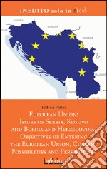 European Union: issues of Serbia, Kosovo and Bosnia and Herzegovina. Objectives of entering the European Union, current possibilities and perspectives. E-book. Formato EPUB ebook