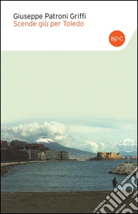 Scende giù per Toledo. E-book. Formato EPUB ebook