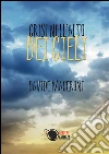 Crisi nell'alto dei cieli. E-book. Formato Mobipocket ebook di Davide Maceroni