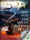 Non può far molto battito di ali. E-book. Formato EPUB ebook di Torroni Luigi