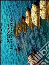 Riflessi in solitudine. E-book. Formato EPUB ebook di Federica Voi