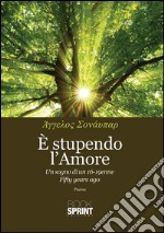 È stupendo l'amore. E-book. Formato PDF ebook