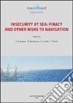 Insecurity at sea: piracy and other risks to navigation. E-book. Formato PDF