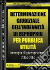 Determinazione giudiziale dell'indennità di esproprio. Raccolta di giurisprudenza 2004-2014. E-book. Formato PDF ebook