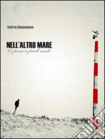 Nell'altro mare. E-book. Formato Mobipocket ebook di Andrea Buonaspeme