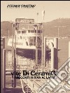 Vite di ceramica-racconti in riva al lago. E-book. Formato EPUB ebook