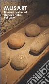 Musart: Itinerario nei musei storico-artistici del Lazio. E-book. Formato PDF ebook