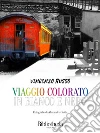 Un viaggio colorato in bianco e nero: DIario di pensieri controversi. E-book. Formato EPUB ebook di Vincenzo Russo