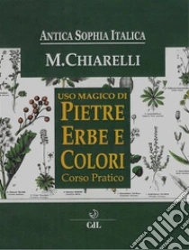 Uso Magicodi Pietre Erbe e ColoriCorso Pratico. E-book. Formato EPUB ebook di Michela Chiarelli