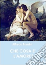 Che cos'è l'amore. E-book. Formato PDF ebook