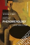 New Phenomenology: A Brief Introduction. E-book. Formato EPUB ebook