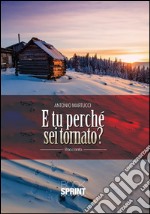 E tu perché sei tornato?. E-book. Formato EPUB ebook