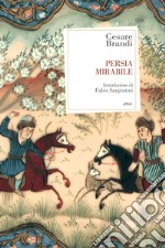 Persia mirabile. E-book. Formato EPUB ebook