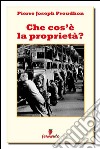 Che cos'è la proprietà?. E-book. Formato Mobipocket ebook