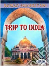 Trip To IndiaThe Ancient Prophecy. E-book. Formato EPUB ebook