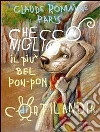 Checco Niglio. Il più bel pon-pon di Cortilandia. E-book. Formato EPUB ebook di Claude R. Paris