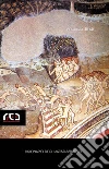 Dizionario degli artisti abruzzesi. E-book. Formato EPUB ebook di Vincenzo Bindi