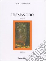 Un maschio: Romanzo. E-book. Formato EPUB ebook