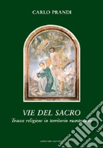 Vie del Sacro: Tracce religiose in territorio mantovano. E-book. Formato PDF ebook